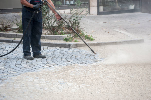 Best Driveway Pressure Washing  in Red Cloud, NE